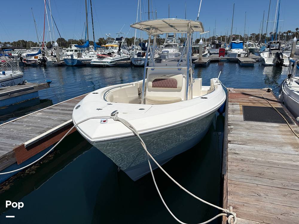 Slide: The Image of Cobia 237 2022 - 15699684