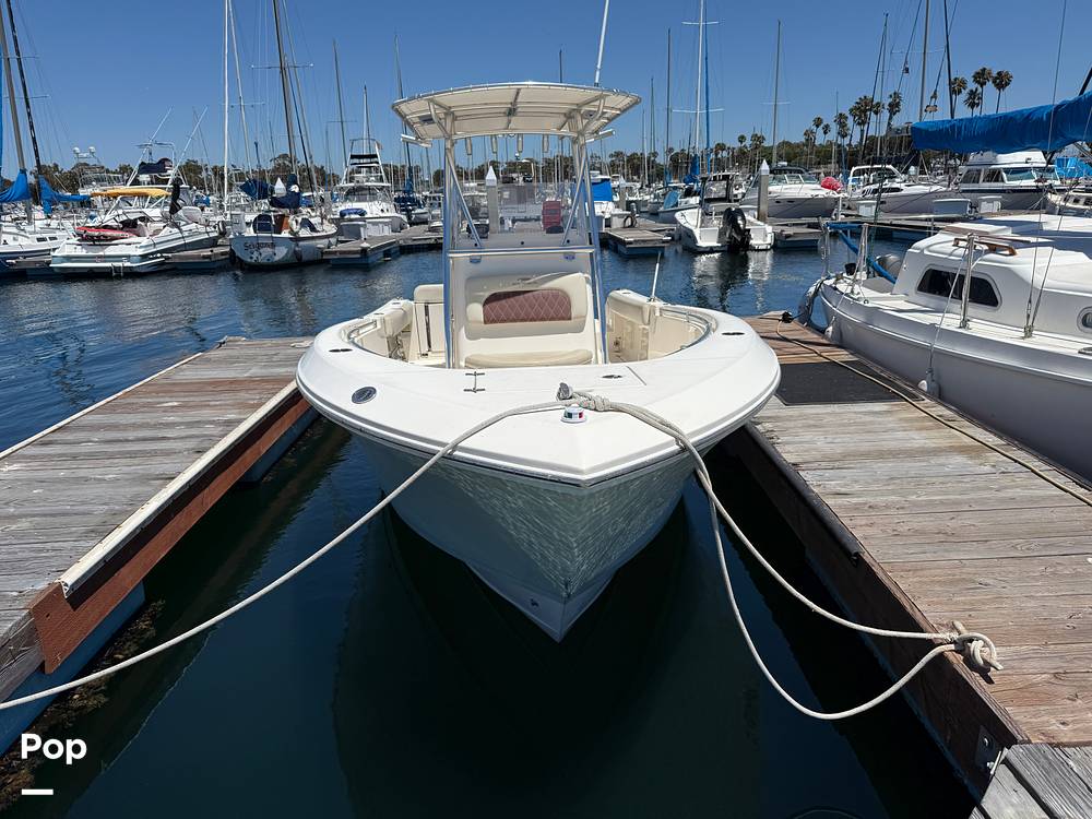 Slide: The Image of Cobia 237 2022 - 15699685