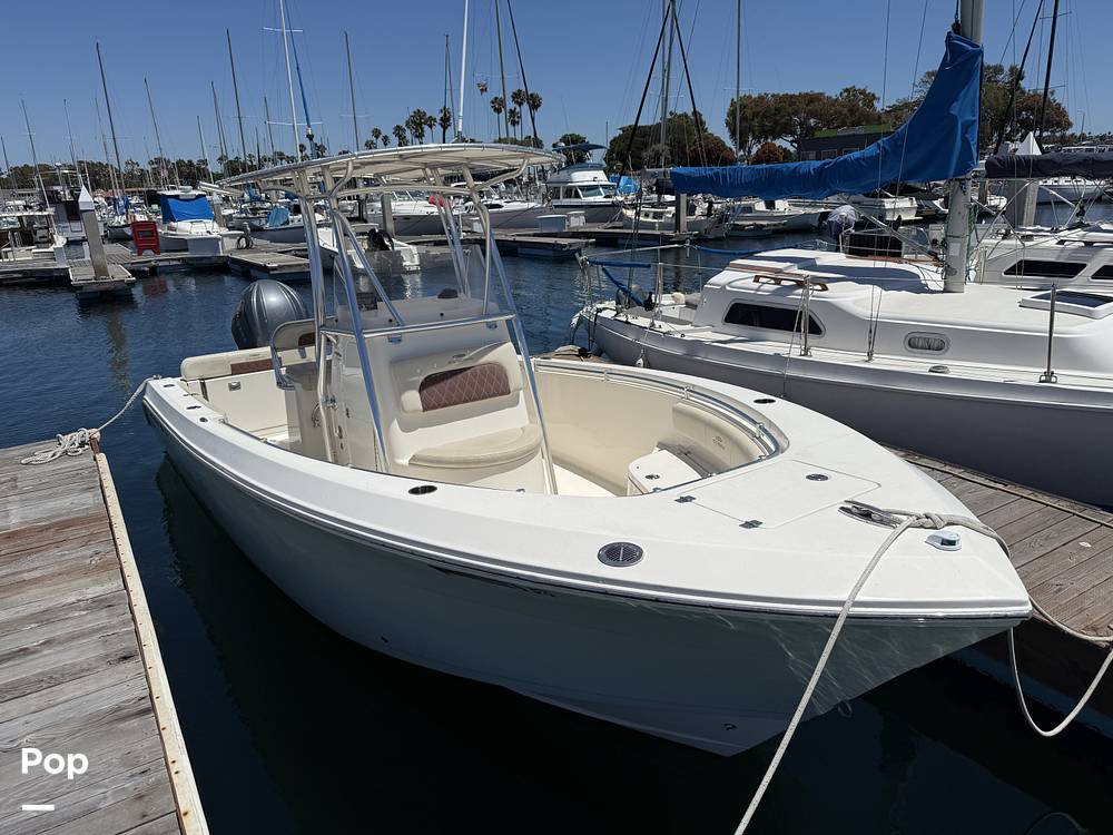 Slide: The Image of Cobia 237 2022 - 15699687