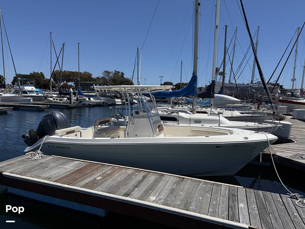 Slide: The Image of Cobia 237 2022 - 15699688