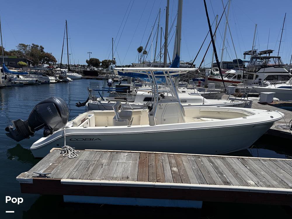 Slide: The Image of Cobia 237 2022 - 15699689