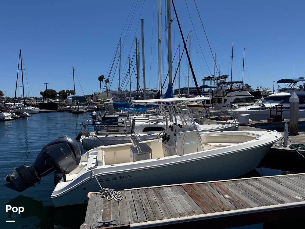 Slide: The Image of Cobia 237 2022 - 15699690