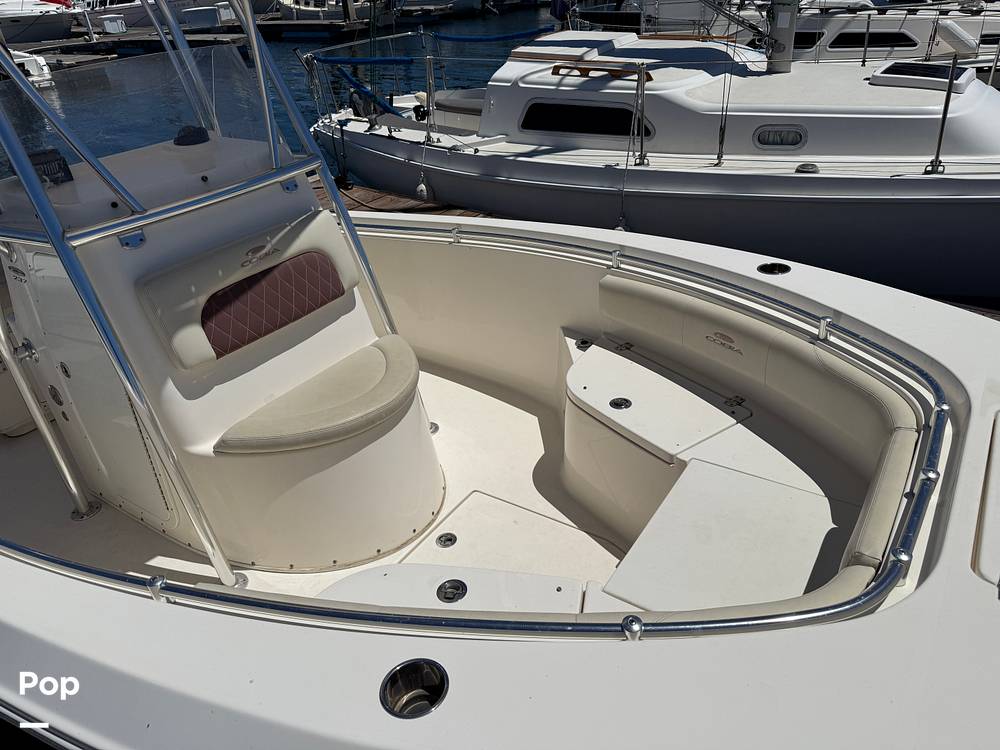 Slide: The Image of Cobia 237 2022 - 15699692