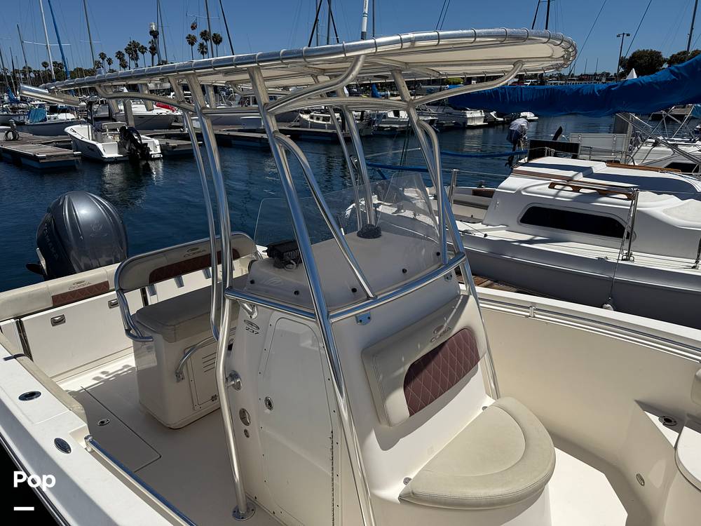 Slide: The Image of Cobia 237 2022 - 15699693