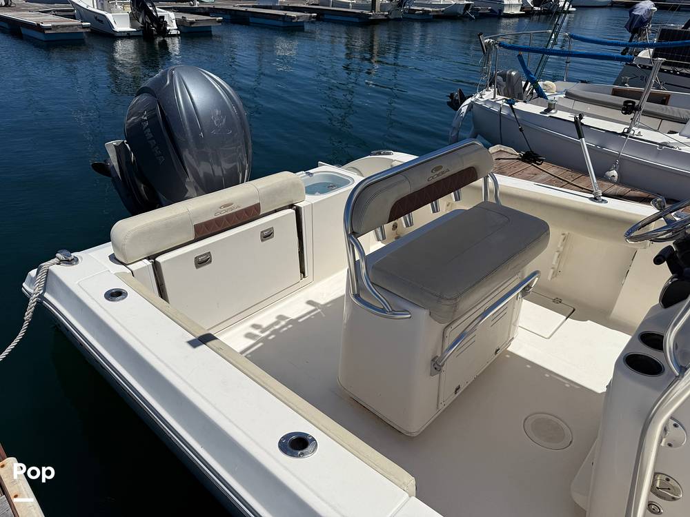 Slide: The Image of Cobia 237 2022 - 15699694