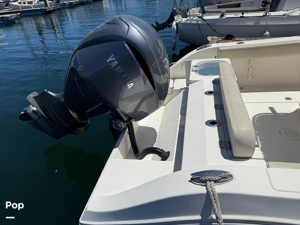 Slide: The Image of Cobia 237 2022 - 15699696