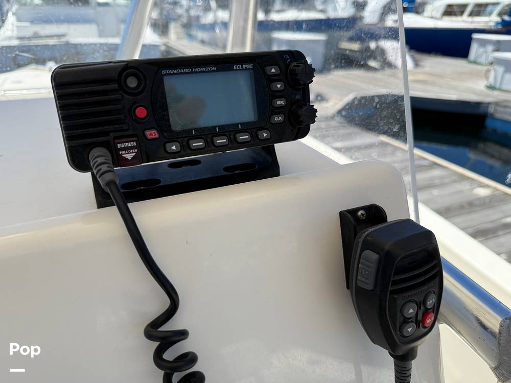 Slide: The Image of Cobia 237 2022 - 15699709