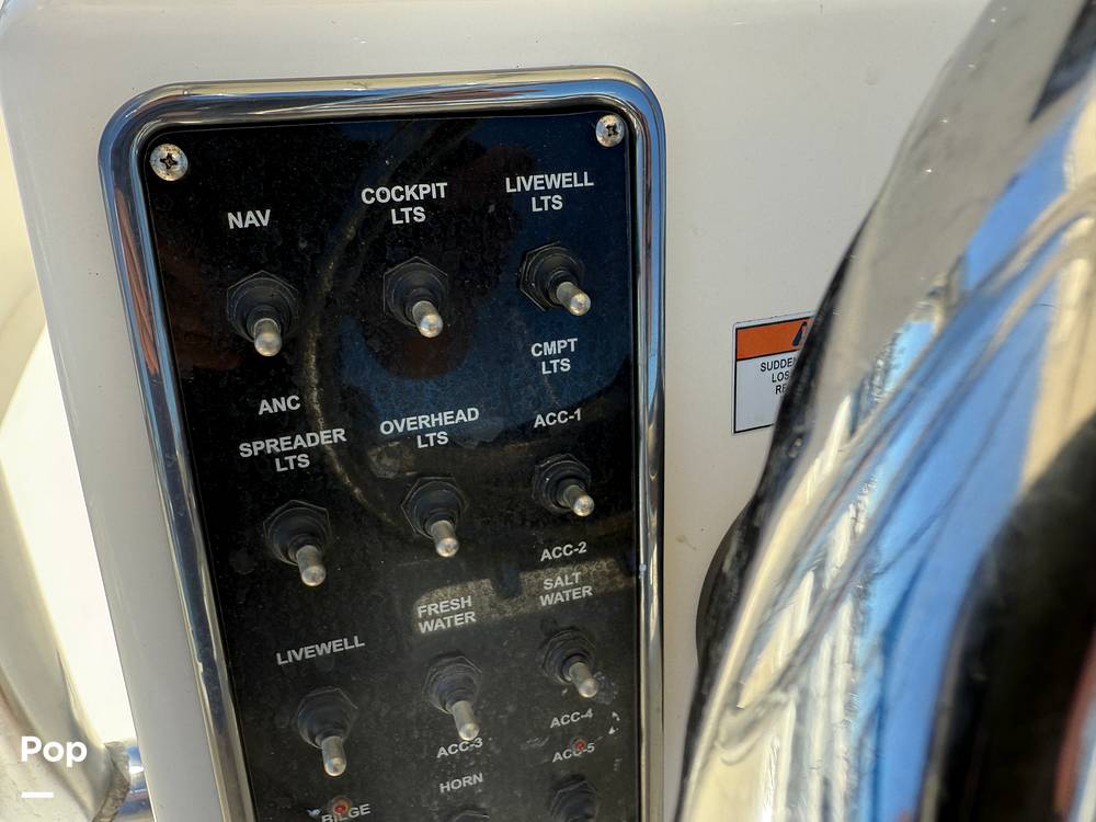 Slide: The Image of Cobia 237 2022 - 15699711