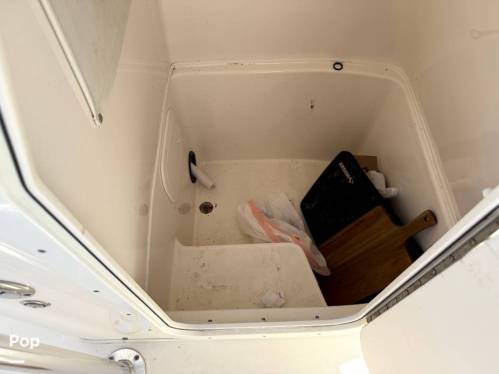 Slide: The Image of Cobia 237 2022 - 15699719