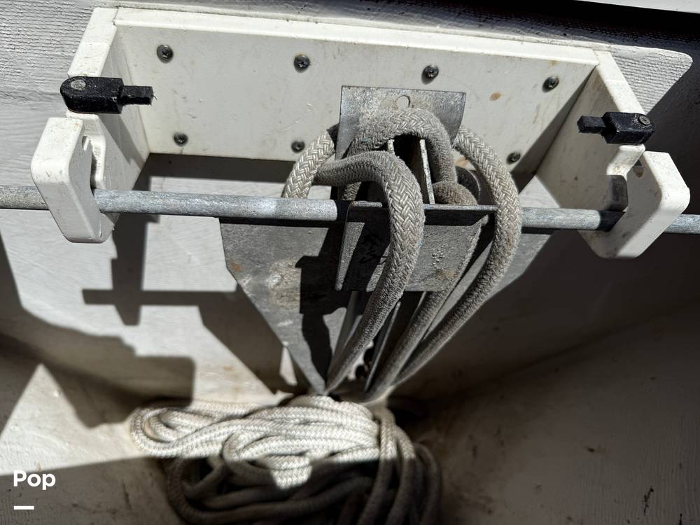 Slide: The Image of Cobia 237 2022 - 15699731