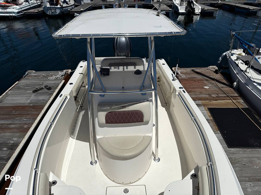 Slide: The Image of Cobia 237 2022 - 15699733