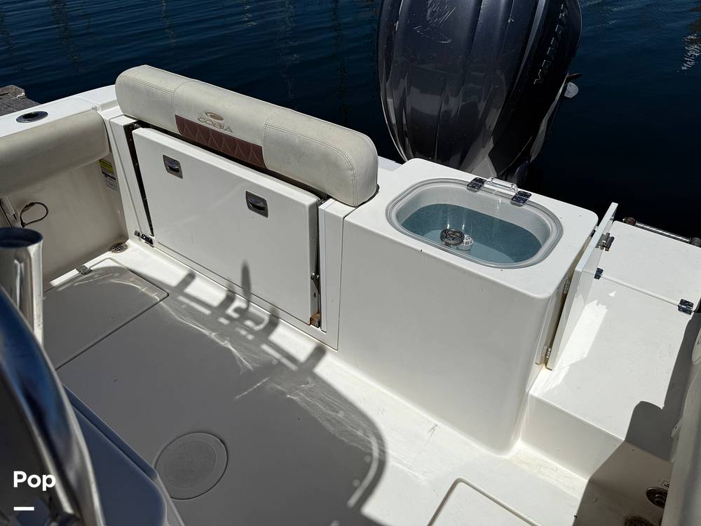 Slide: The Image of Cobia 237 2022 - 15699743