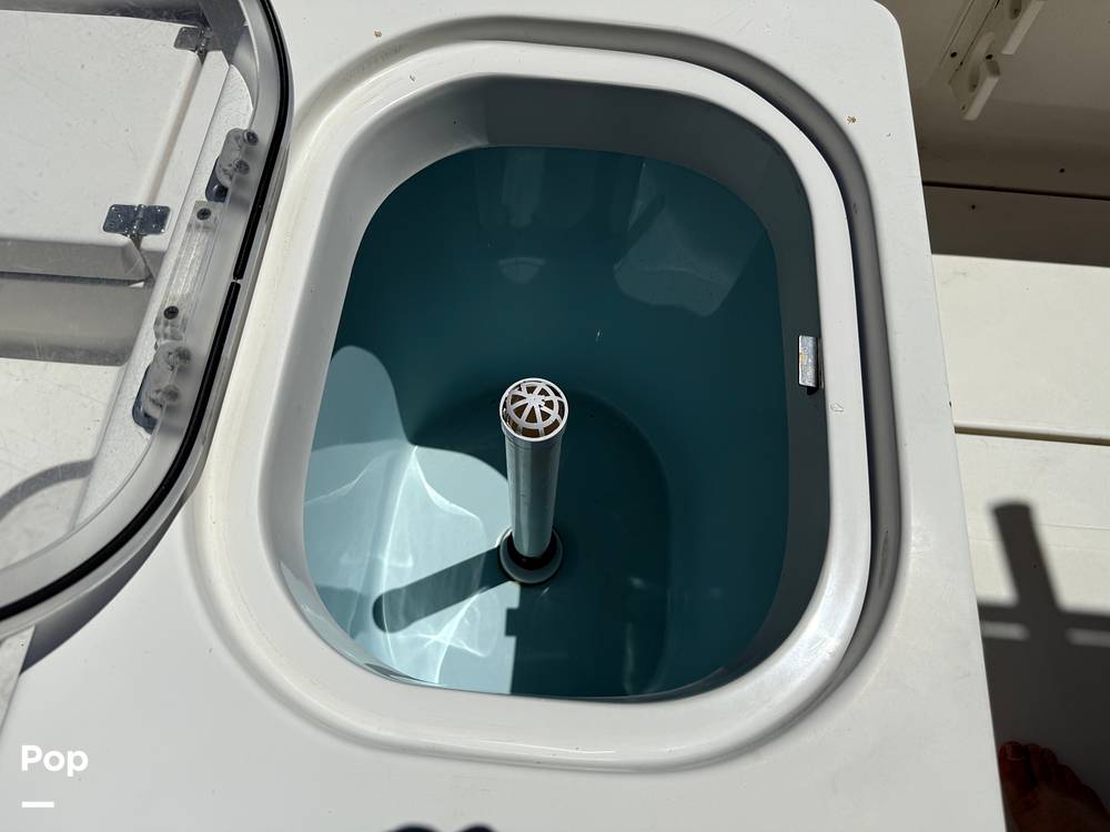 Slide: The Image of Cobia 237 2022 - 15699744