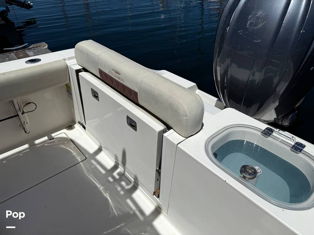 Slide: The Image of Cobia 237 2022 - 15699745