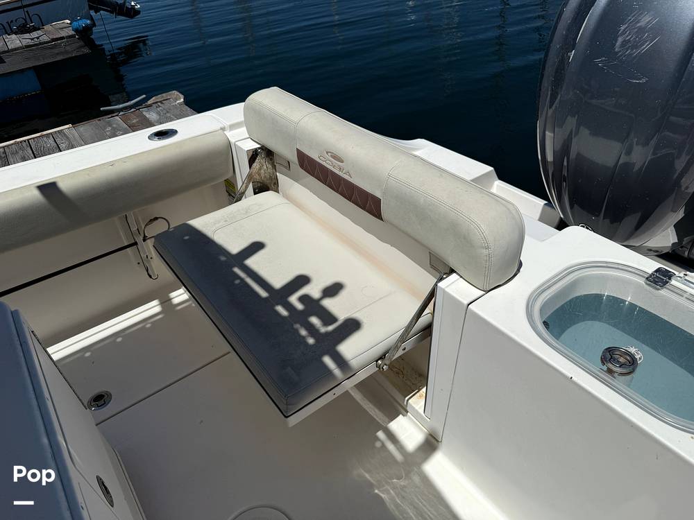 Slide: The Image of Cobia 237 2022 - 15699746