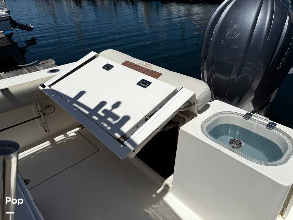 Slide: The Image of Cobia 237 2022 - 15699747