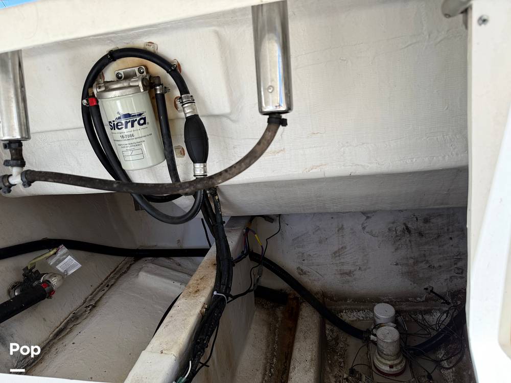 Slide: The Image of Cobia 237 2022 - 15699748