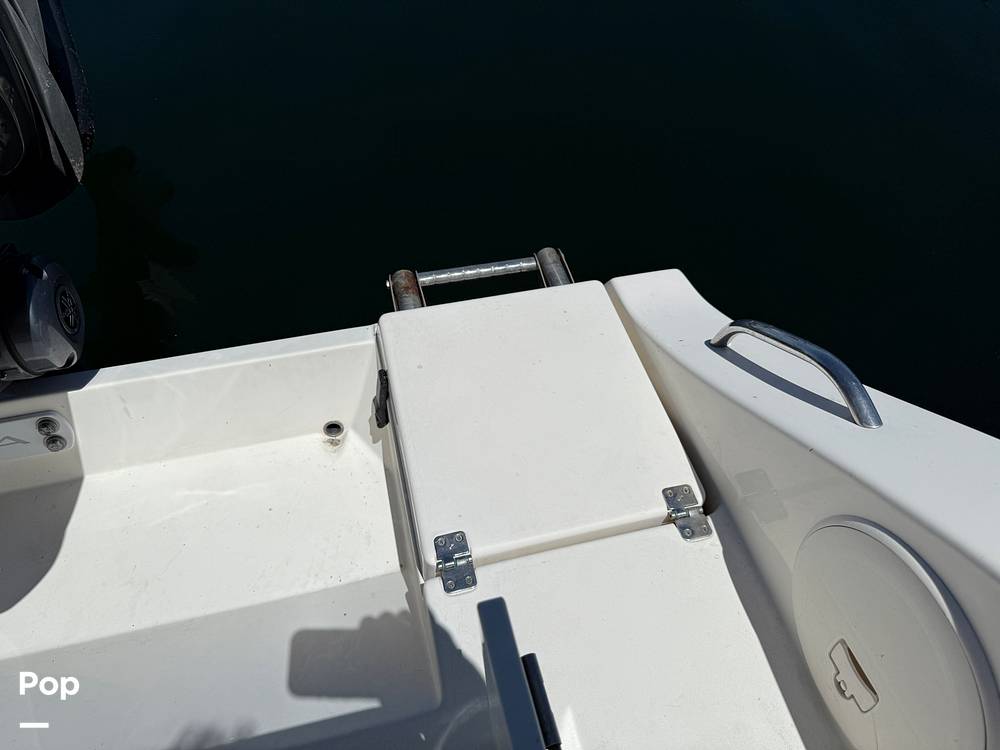 Slide: The Image of Cobia 237 2022 - 15699751