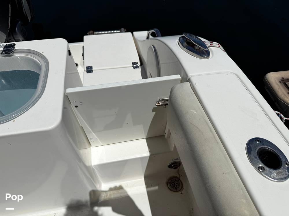 Slide: The Image of Cobia 237 2022 - 15699753