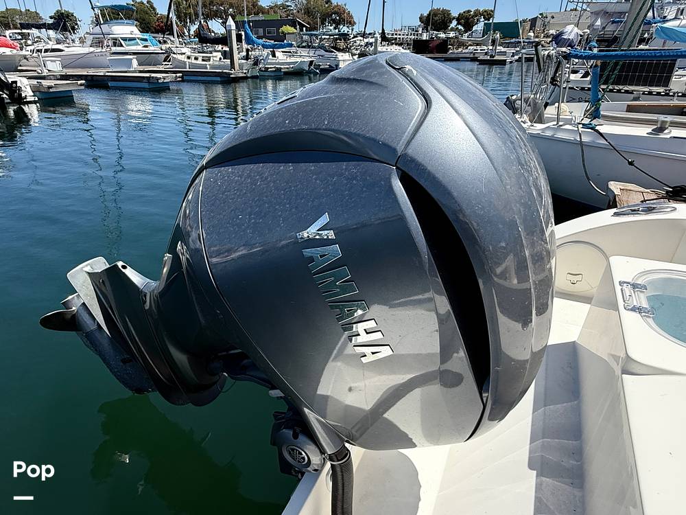 Slide: The Image of Cobia 237 2022 - 15699754