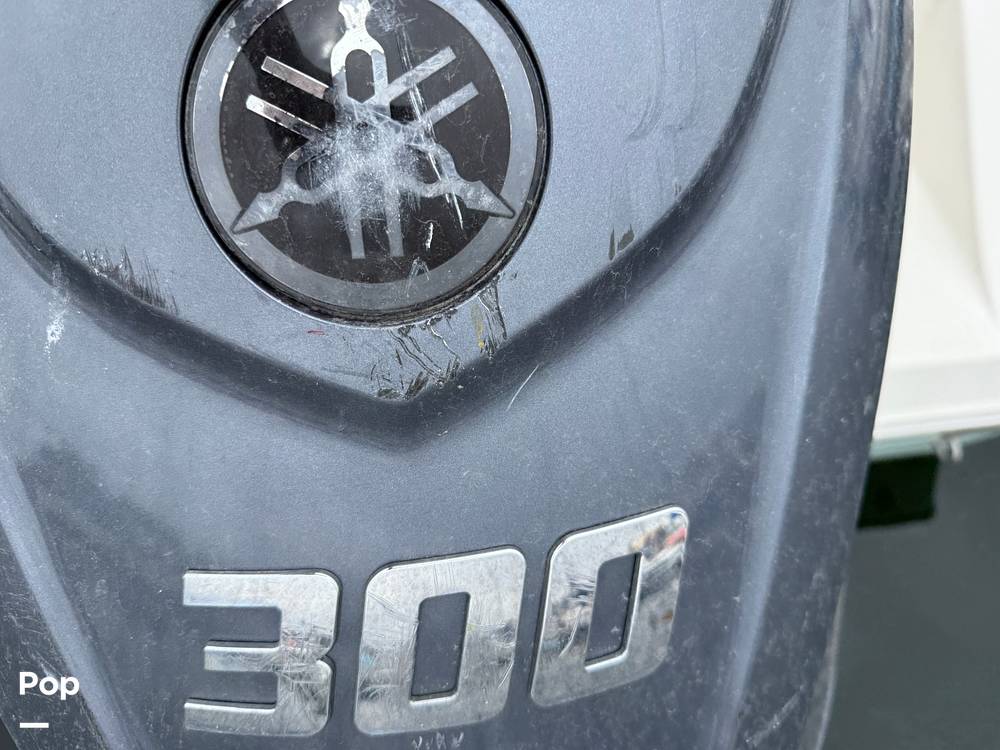 Slide: The Image of Cobia 237 2022 - 15701355