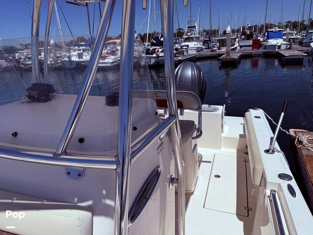 Slide: The Image of Cobia 237 2022 - 15699738