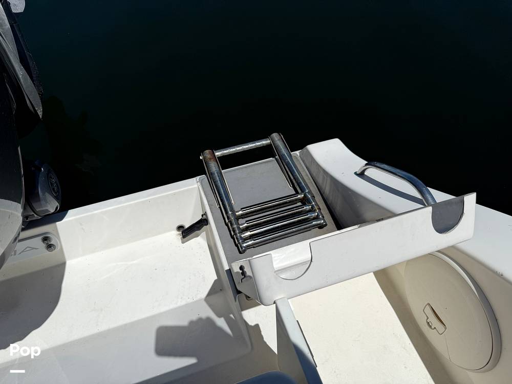 Slide: The Image of Cobia 237 2022 - 15699750