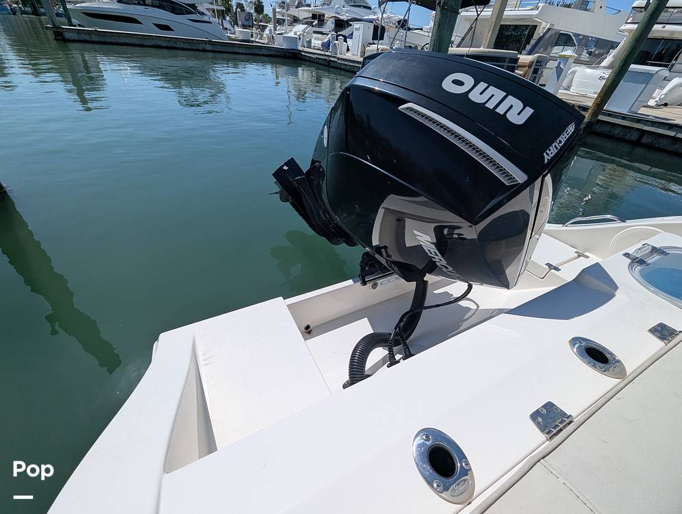 Slide: The Image of Cobia 237 CC 2023 - 15344236