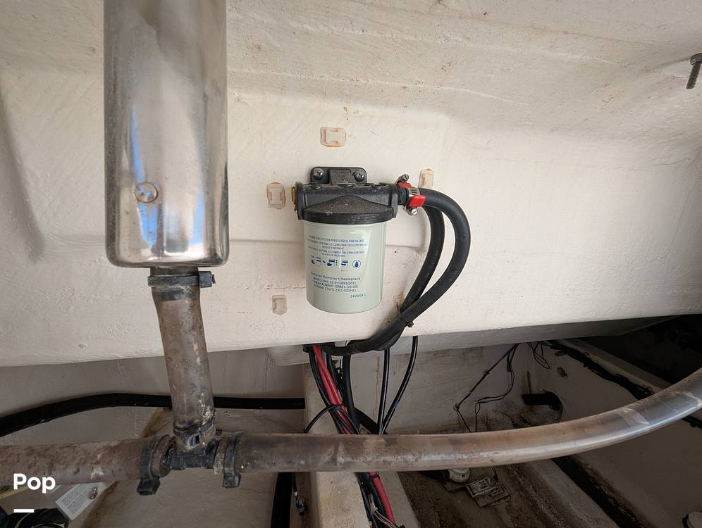 Slide: The Image of Cobia 237 CC 2023 - 15344271