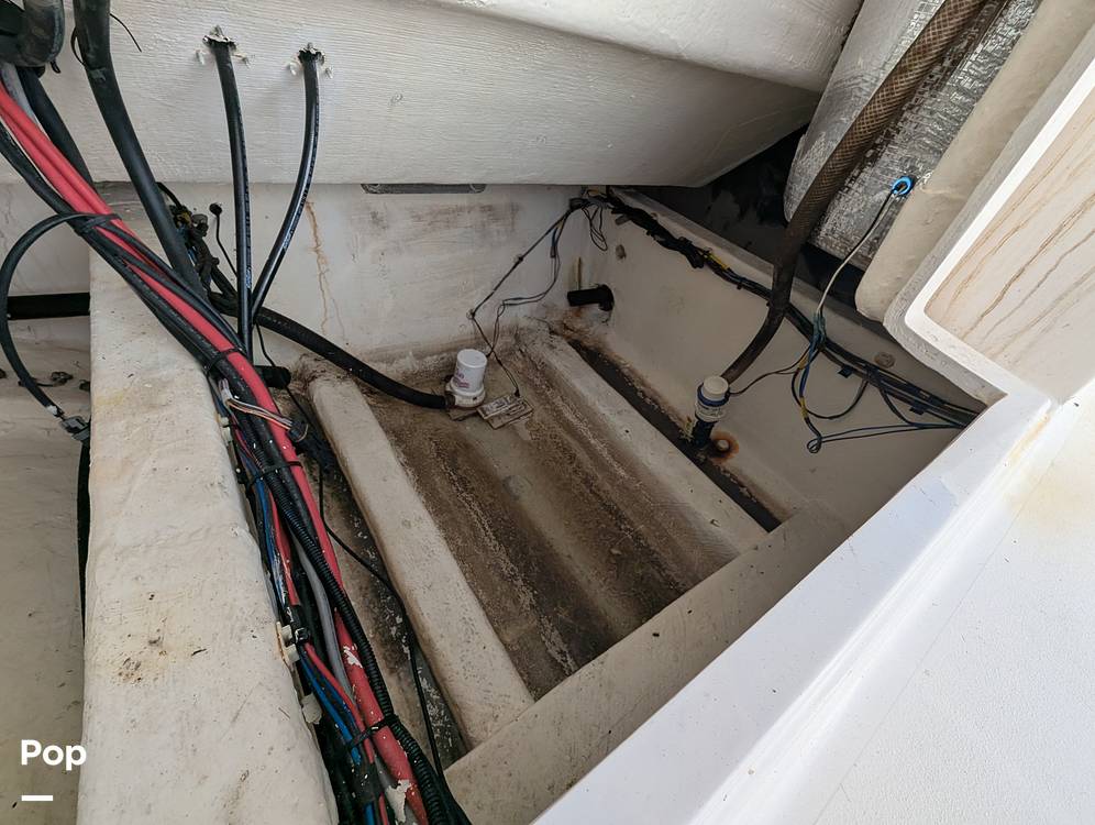 Slide: The Image of Cobia 237 CC 2023 - 15344272