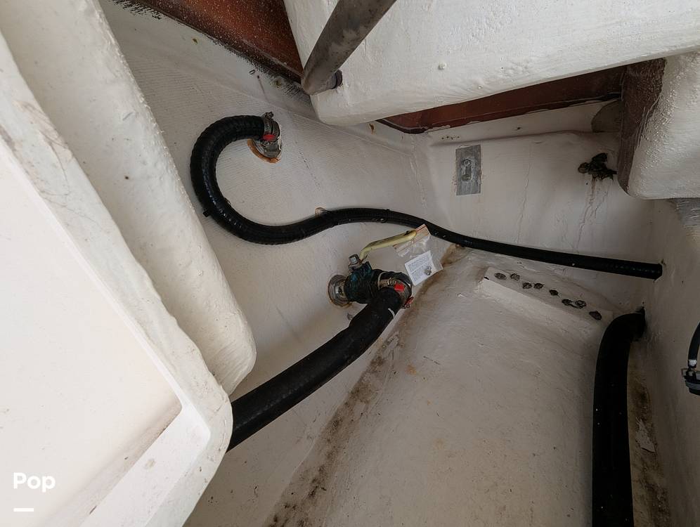 Slide: The Image of Cobia 237 CC 2023 - 15344273