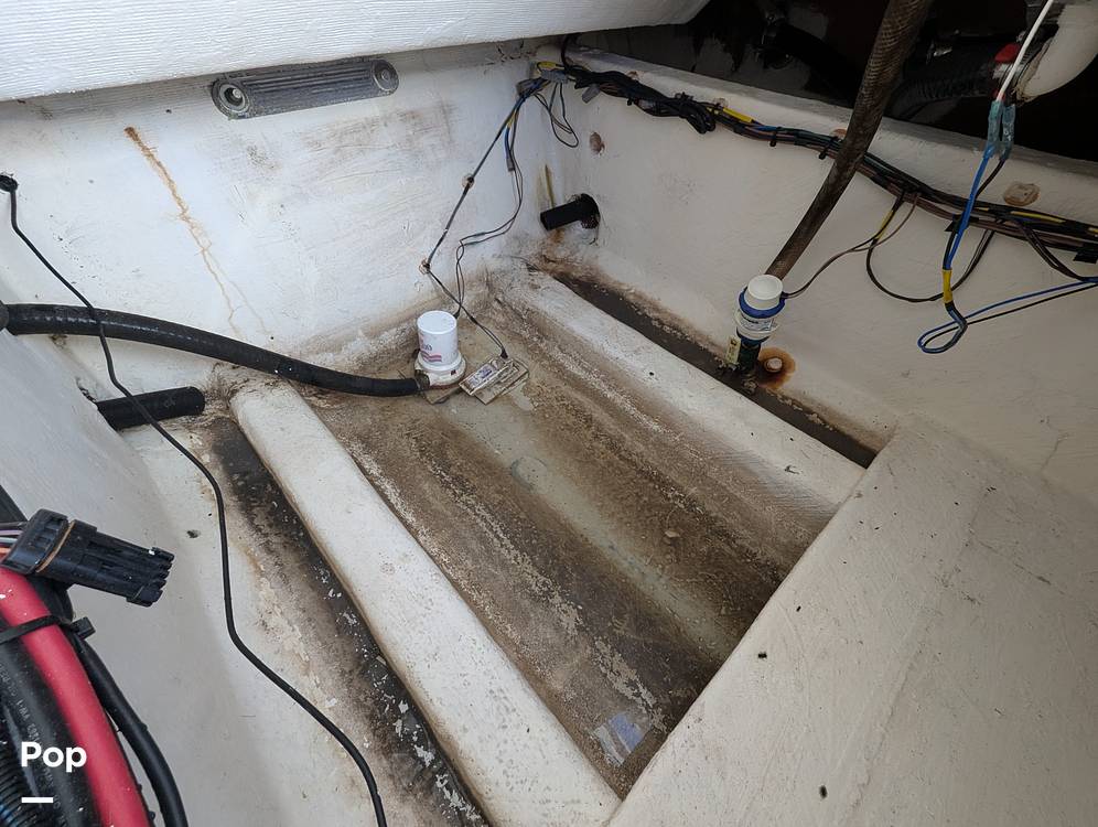 Slide: The Image of Cobia 237 CC 2023 - 15344274