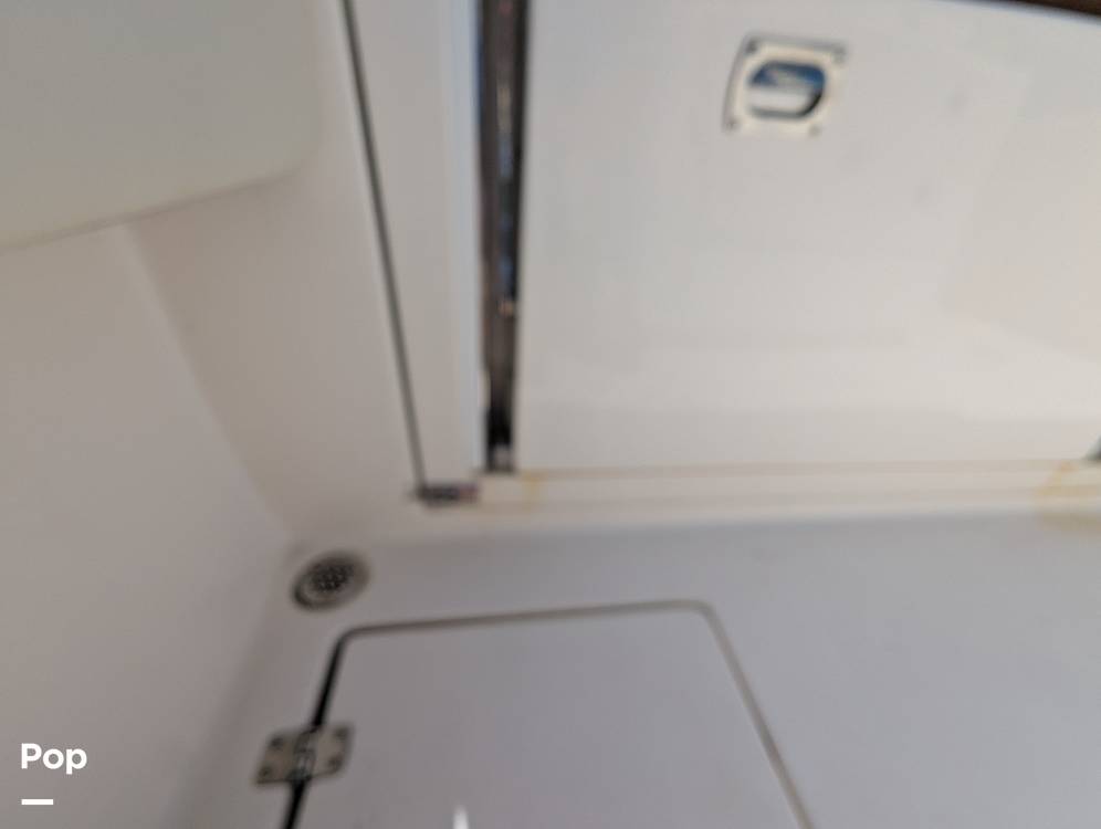 Slide: The Image of Cobia 237 CC 2023 - 15344275