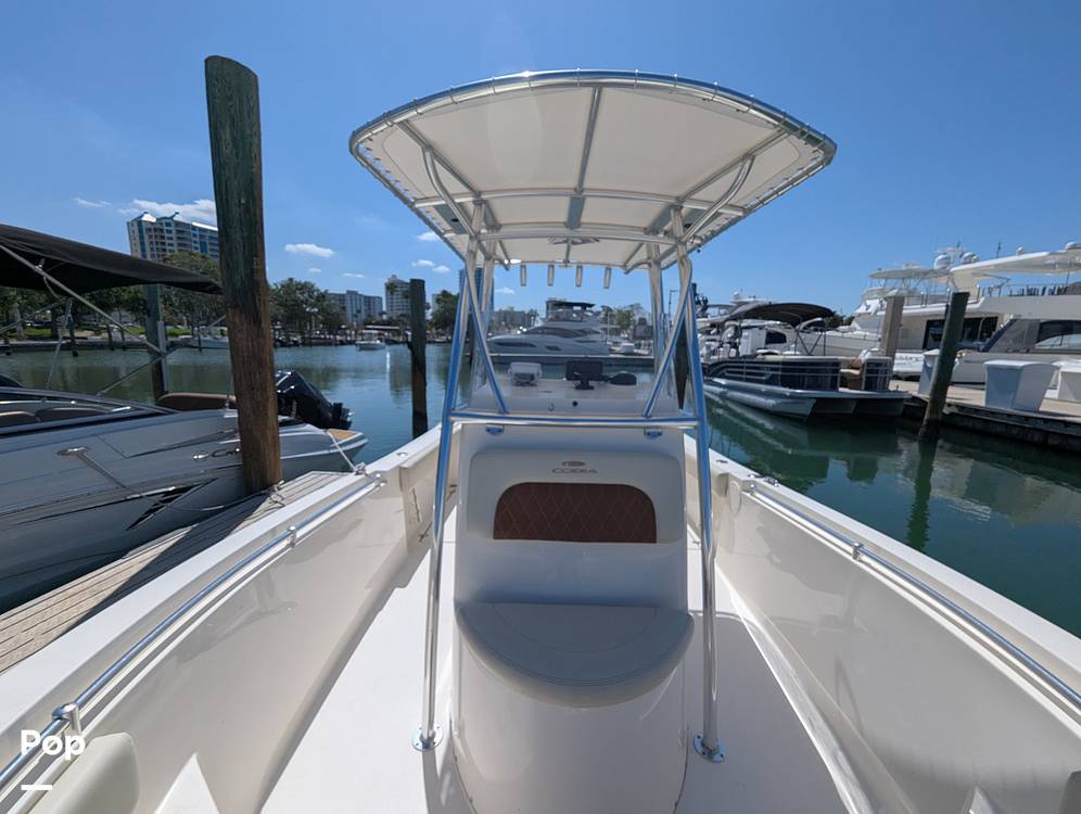 Slide: The Image of Cobia 237 CC 2023 - 15344294