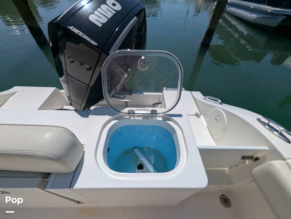 Slide: The Image of Cobia 237 CC 2023 - 15344295