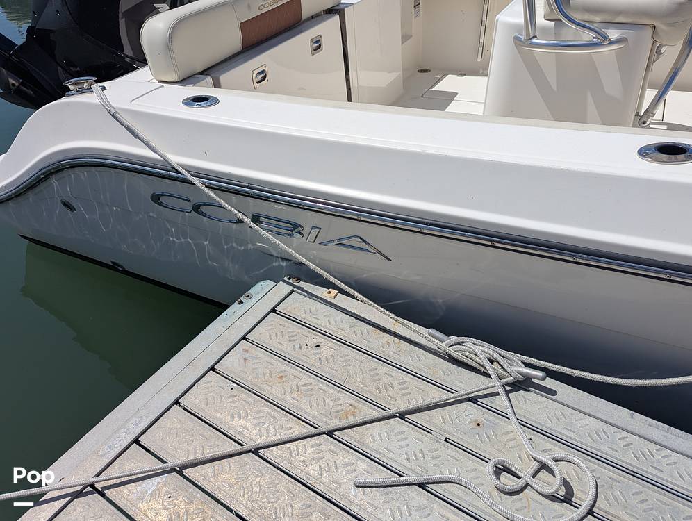 Slide: The Image of Cobia 237 CC 2023 - 15344298