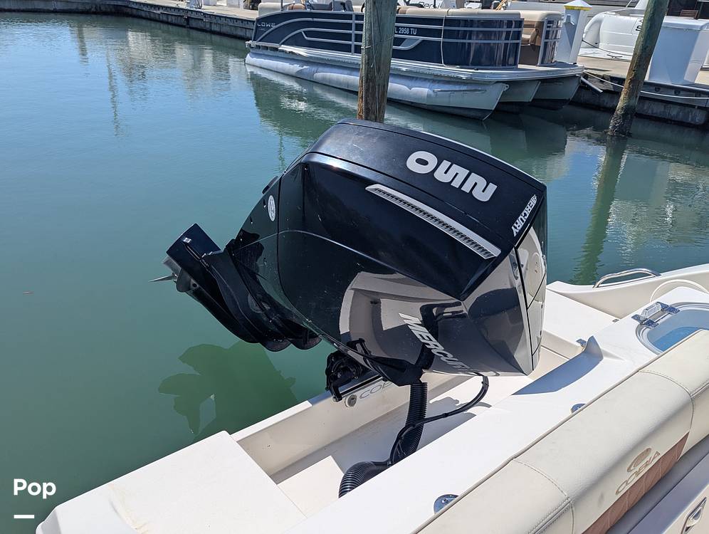 Slide: The Image of Cobia 237 CC 2023 - 15344308