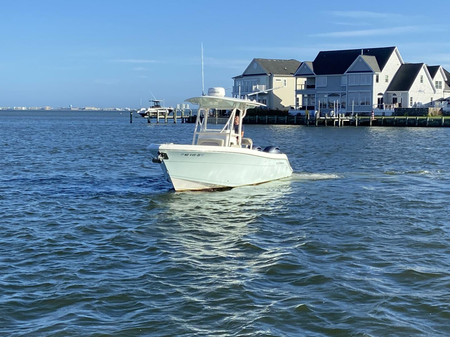 Slide: The Image of Cobia 24 2018 - 4966559