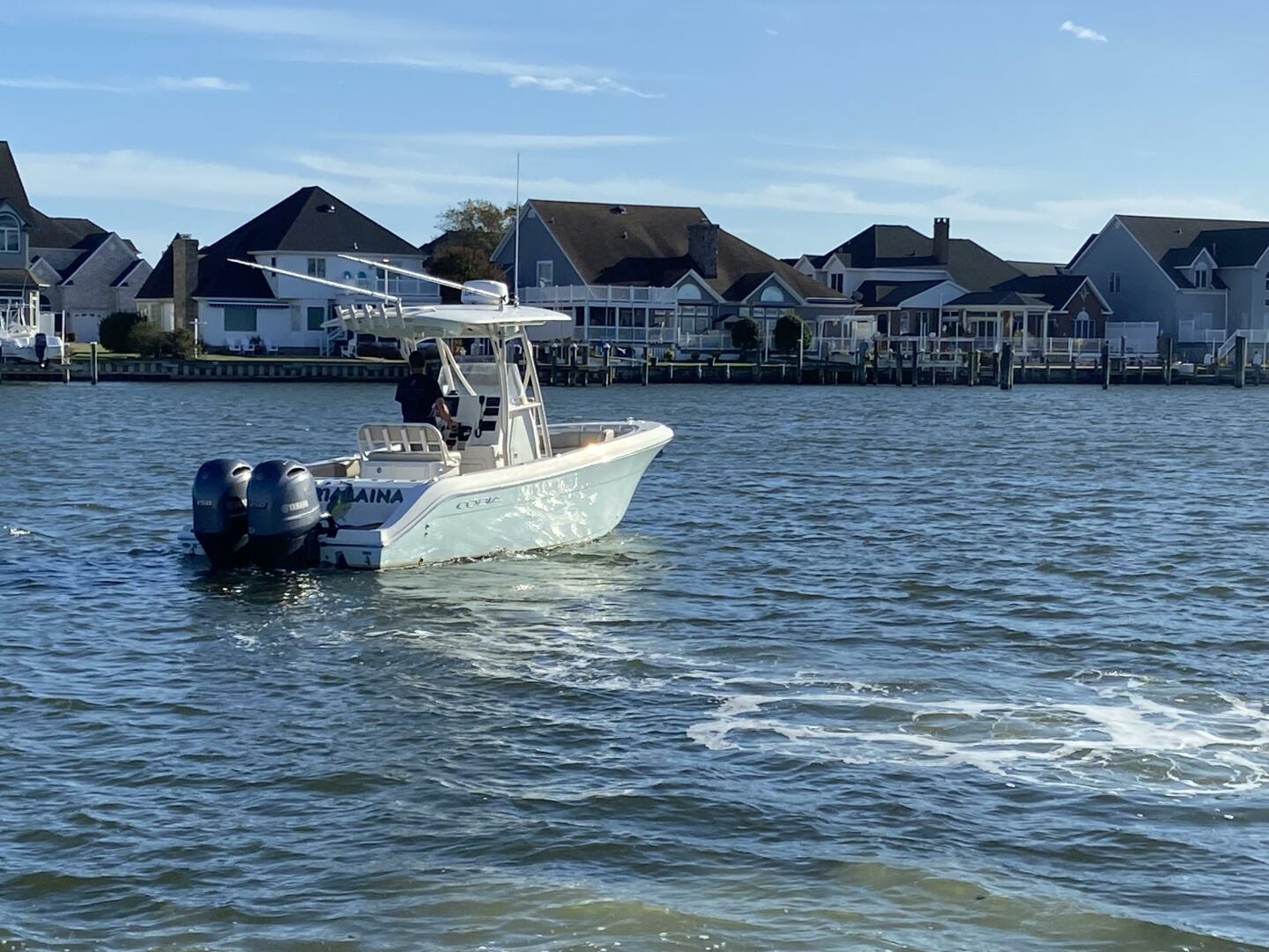 Slide: The Image of Cobia 24 2018 - 4966560