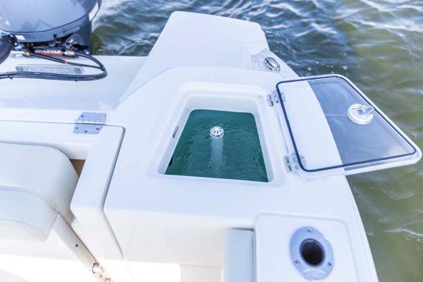 Slide: The Image of Manufacturer Provided Image: 2023 Cobia 240 Dual Console livewell on deck, open lid, near water. - 15