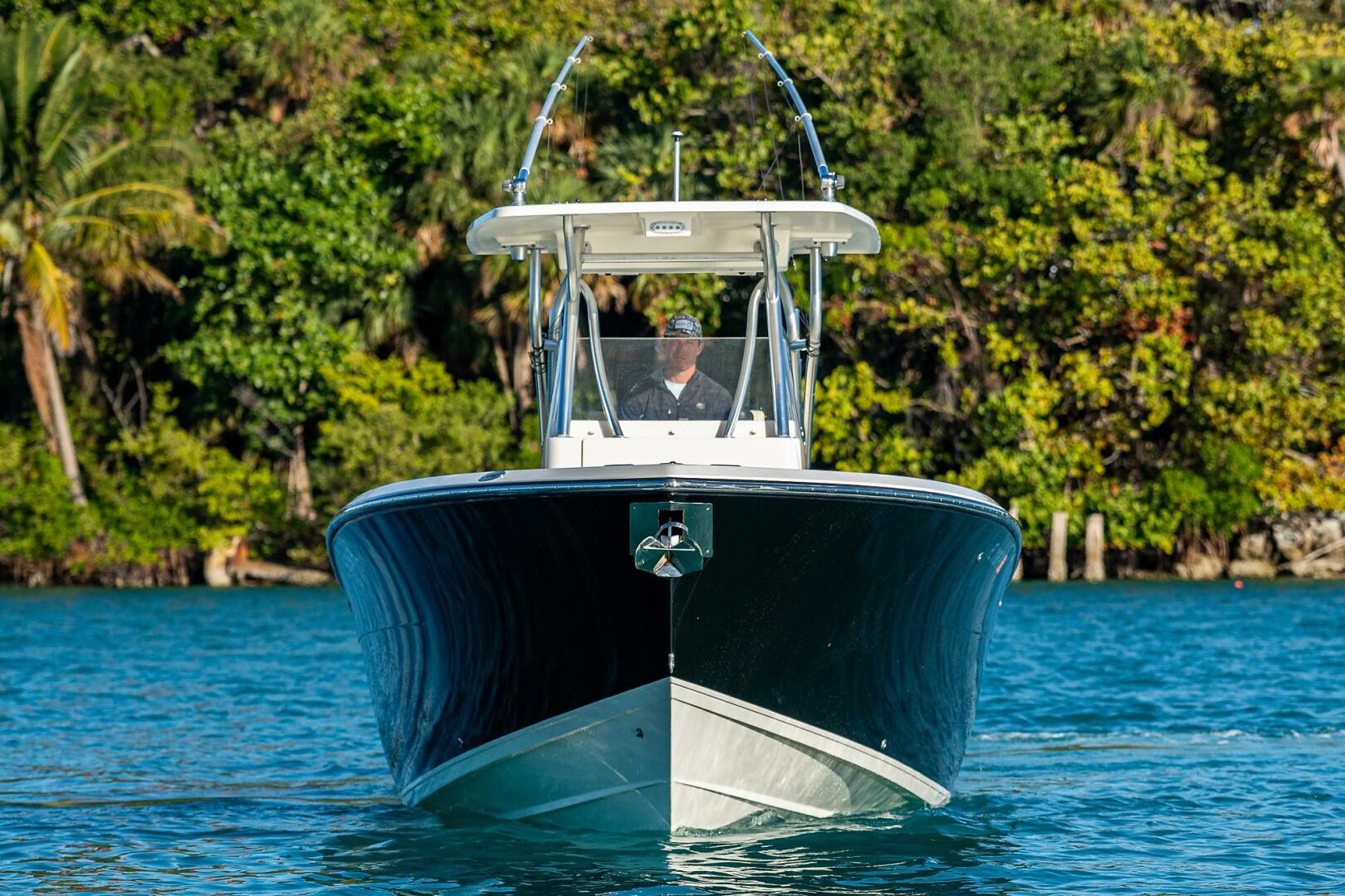 Slide: The Image of Cobia 296 CC 2013 - 4875004