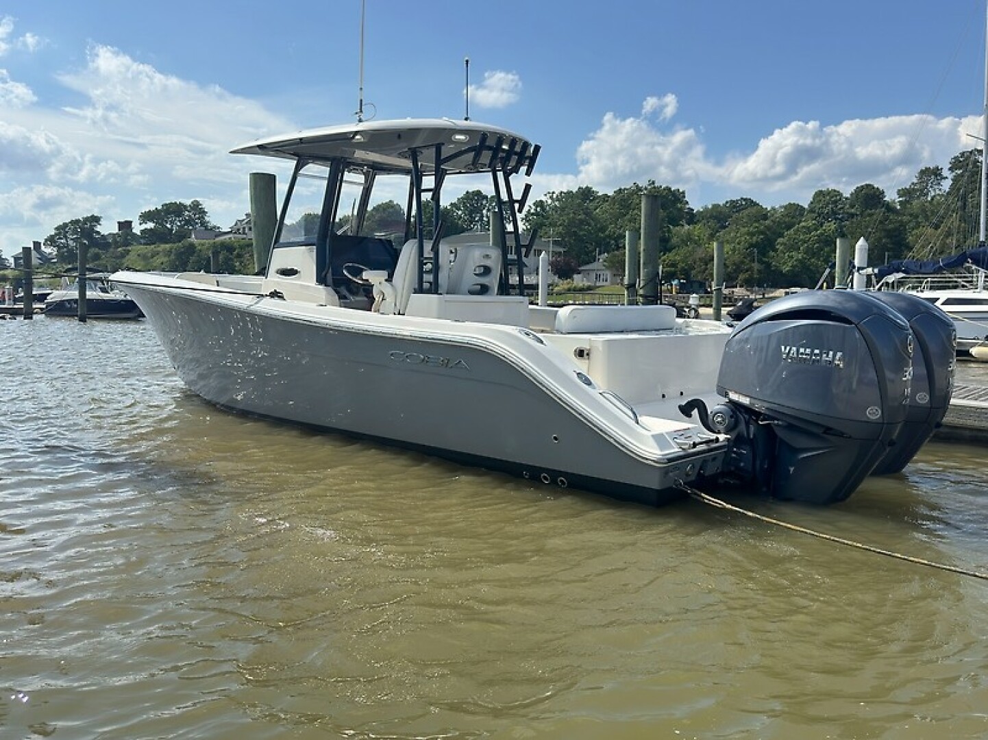Slide: The Image of Cobia 30 2021 - 5449175
