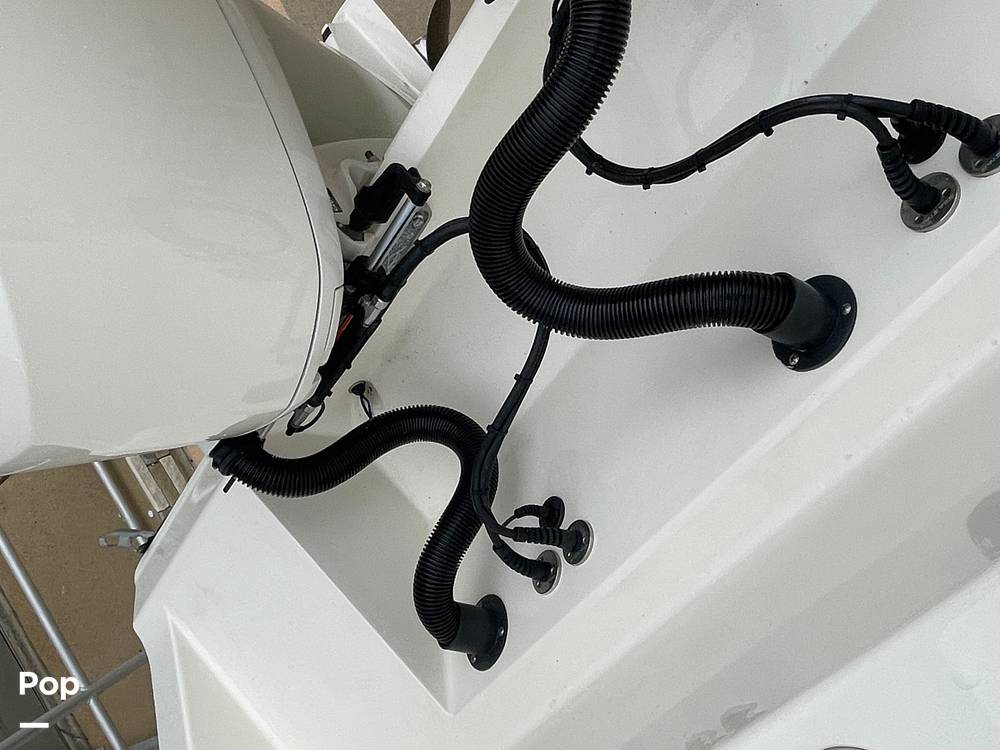 Slide: The Image of Cobia 301 CC 2019 - 15063896