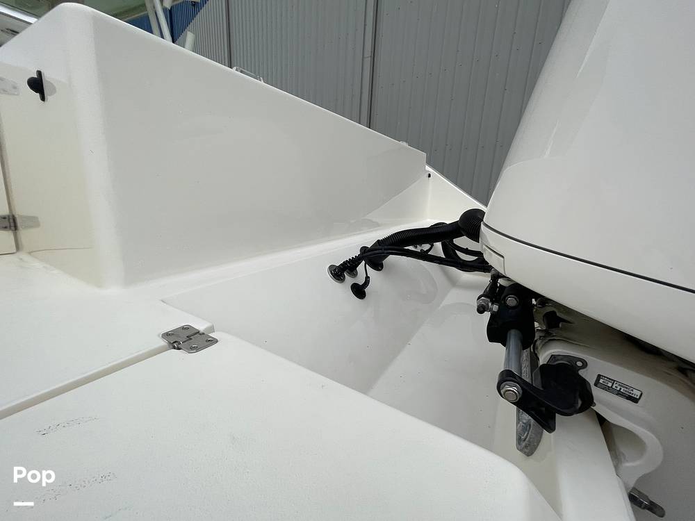 Slide: The Image of Cobia 301 CC 2019 - 15063901