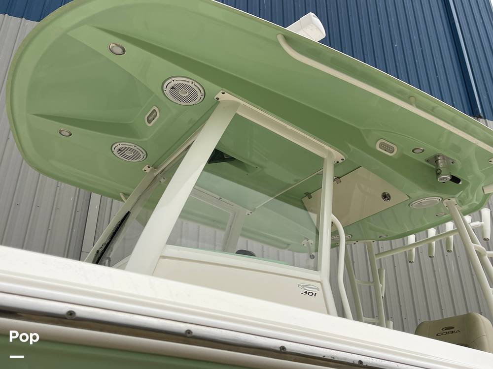 Slide: The Image of Cobia 301 CC 2019 - 15063764
