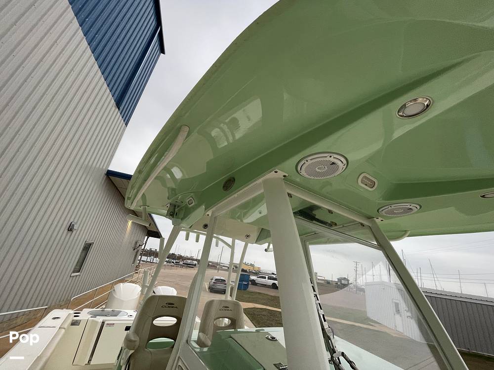 Slide: The Image of Cobia 301 CC 2019 - 15063800