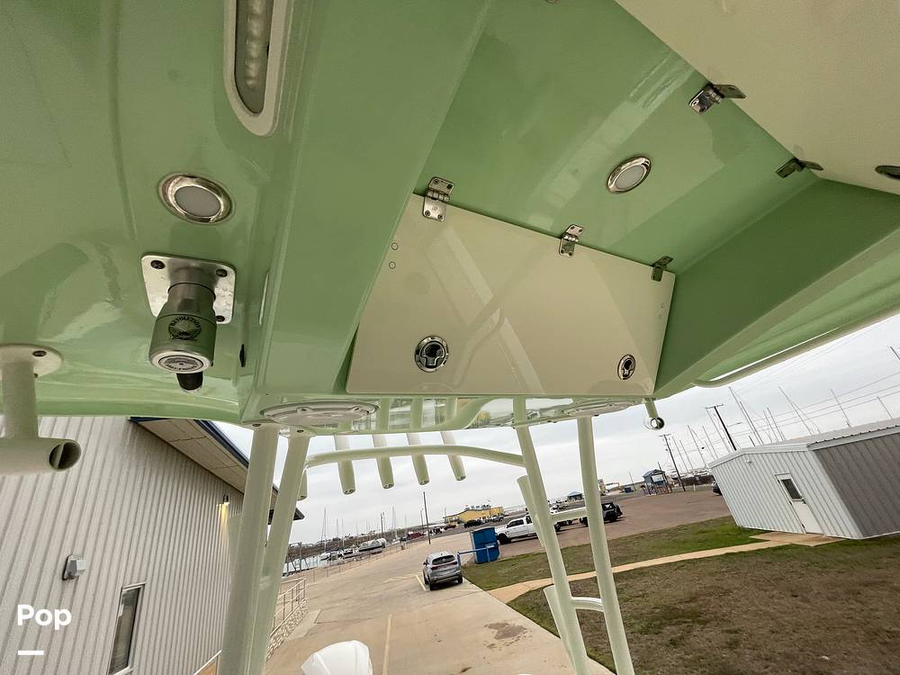 Slide: The Image of Cobia 301 CC 2019 - 15063874
