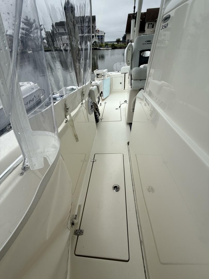 Slide: The Image of Cobia 35 2024 - 5354352