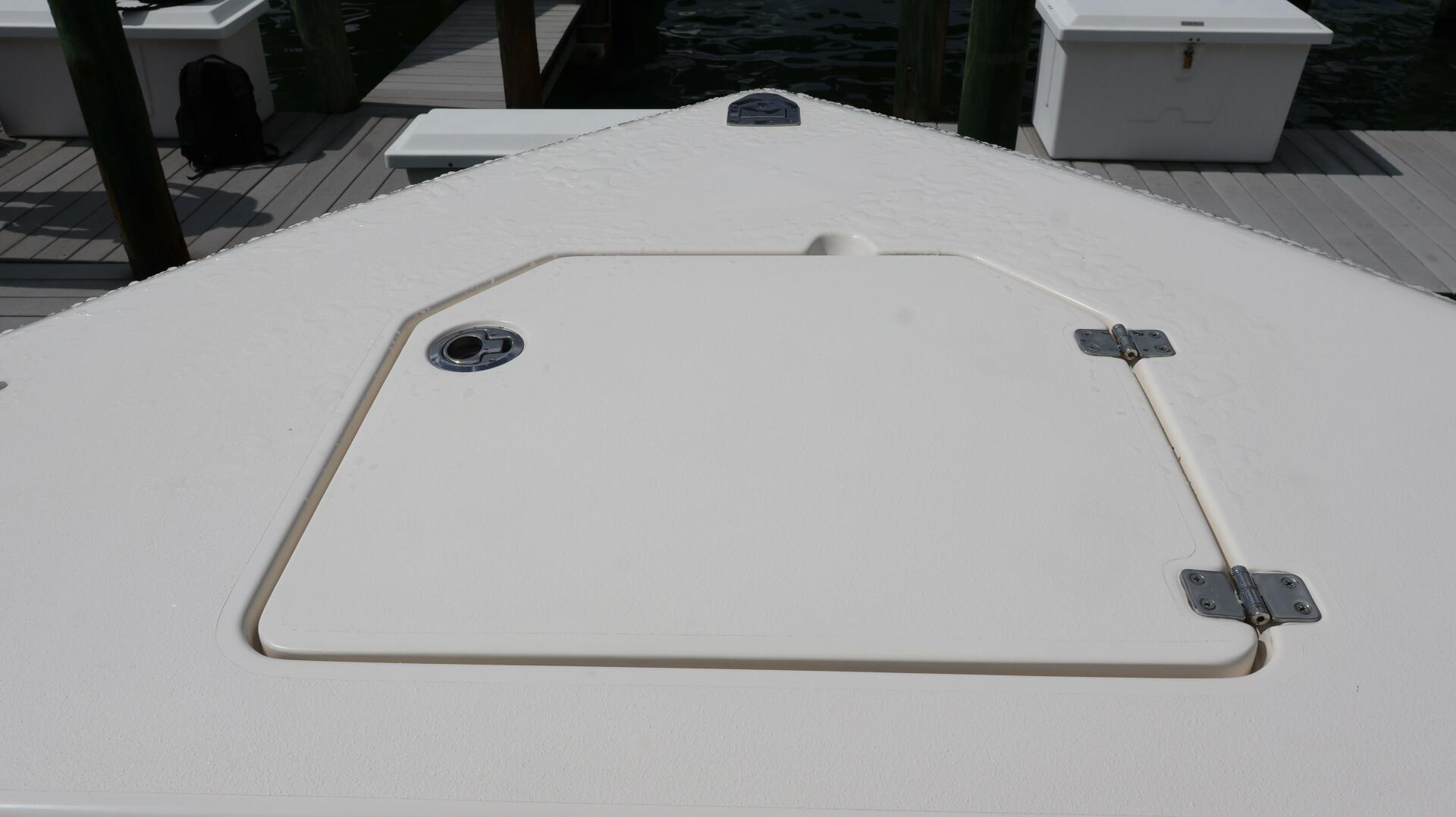 Slide: The Image of Cobia 350 CC 2020 - 5474757