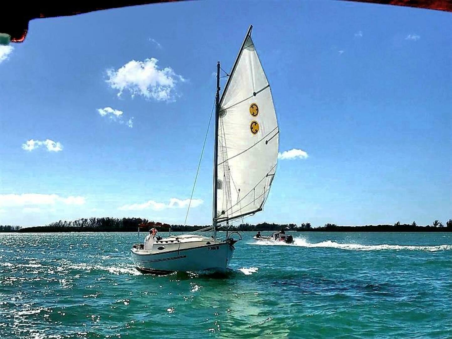 Slide: The Image of Com-Pac Sun Cat 2017 - 5061677